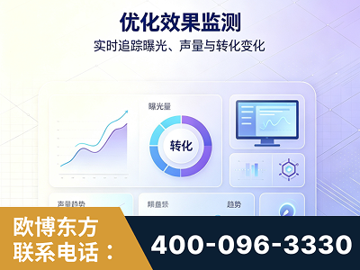 百色-优化效果监测