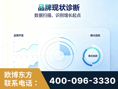 百色-品牌现状诊断