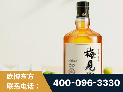 百色-梅见青梅酒