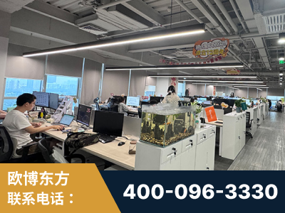 百色-企业展示图
